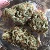 Cinex Kush Strain