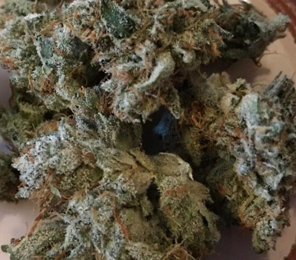 Hindu Kush